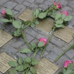 2012_RosenSteine