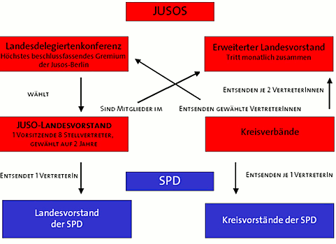 Verbandsaufbau und Arbeitsstruktur der Jusos Berlin
